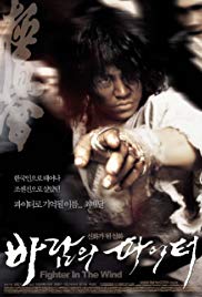 Fighter in the Wind (2004)