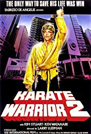 Karate Warrior 2 (1988)