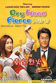 Dry Wood Fierce Fire (2002)