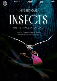 Mysterious Origins of Insects (2024)