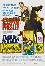 Flaming Star (1960)