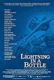 Lightning in a Bottle (2004)