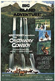 The Castaway Cowboy (1974)